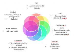 cannabis en la salud mental