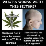 cannabis medicinal