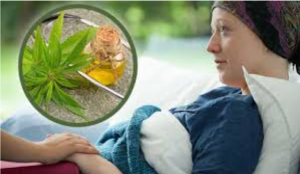 medicinal cannabis