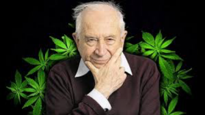 qué es el cannabis