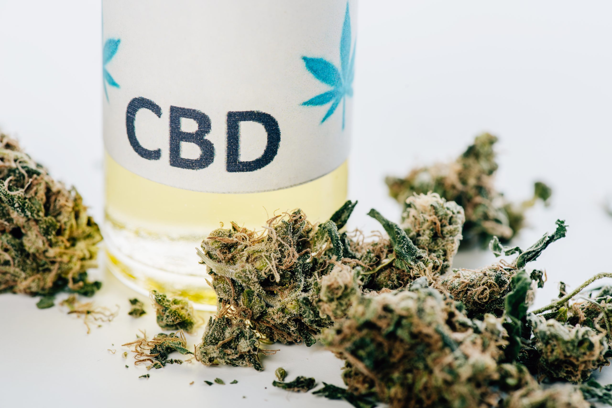Investigación en Cannabis Medicinal en el Mundo: Enero 2023